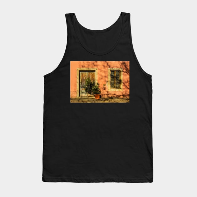 Door and Window in Buzet, Croatia Tank Top by jojobob